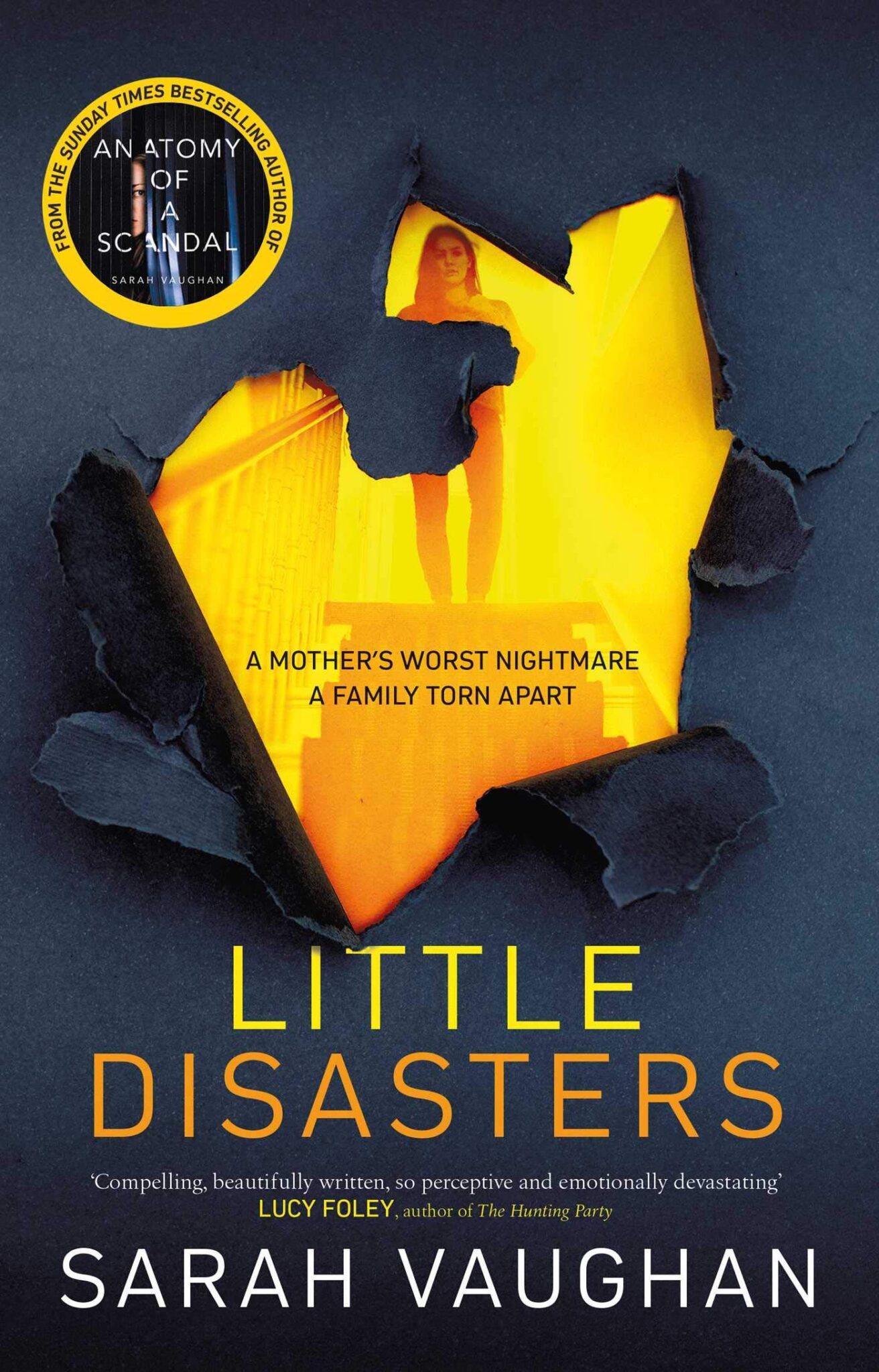 Little Disasters book cover